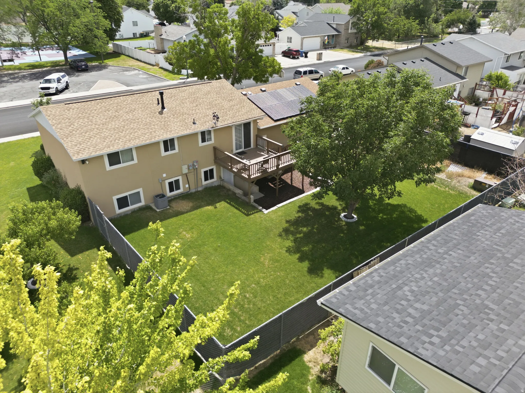 Expansive backyard with a large shade tree, manicured lawn, and privacy fencing
