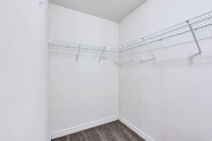 Closet space featuring wrap-around wire shelving, neutral carpeting, and white wall finishes