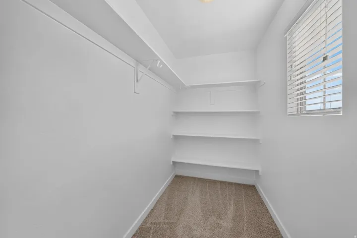 Walk-in closet featuring built-in shelving, a clothes rod, light-colored carpeting, and a window with horizontal blinds