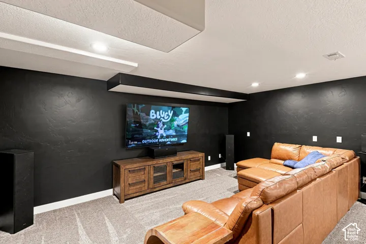 NEW Theatre Room Hard Wired for Surround Sound