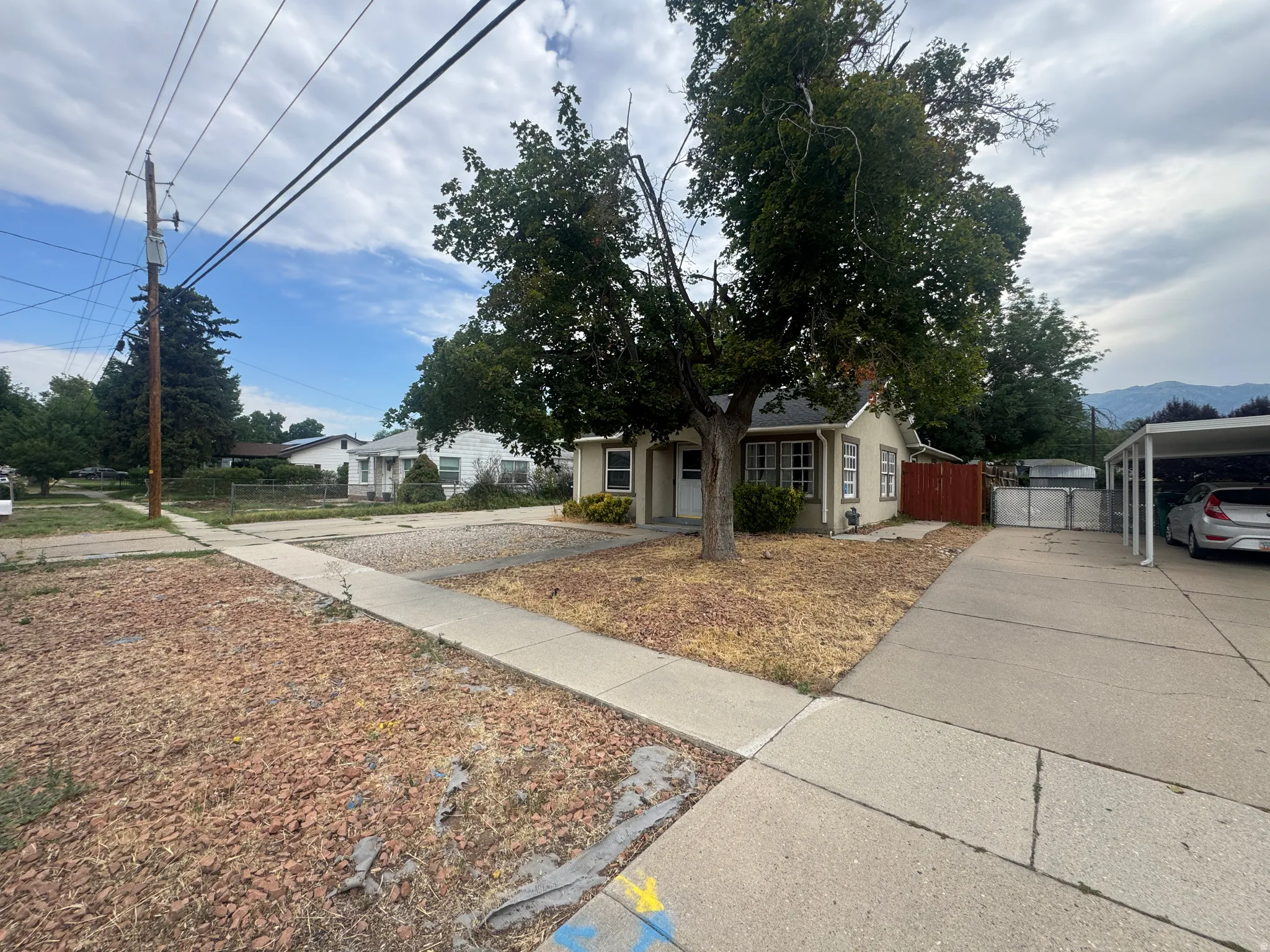 Single-story residence featuring a mature shade tree, a concrete driveway, and a carport