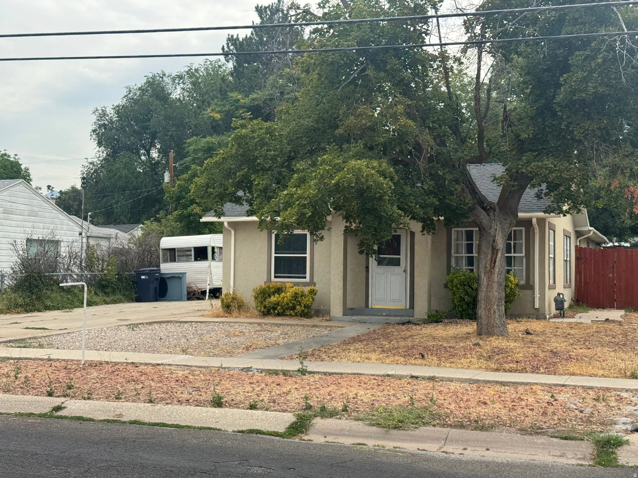 Single-story residence featuring a painted exterior and a prominent mature tree