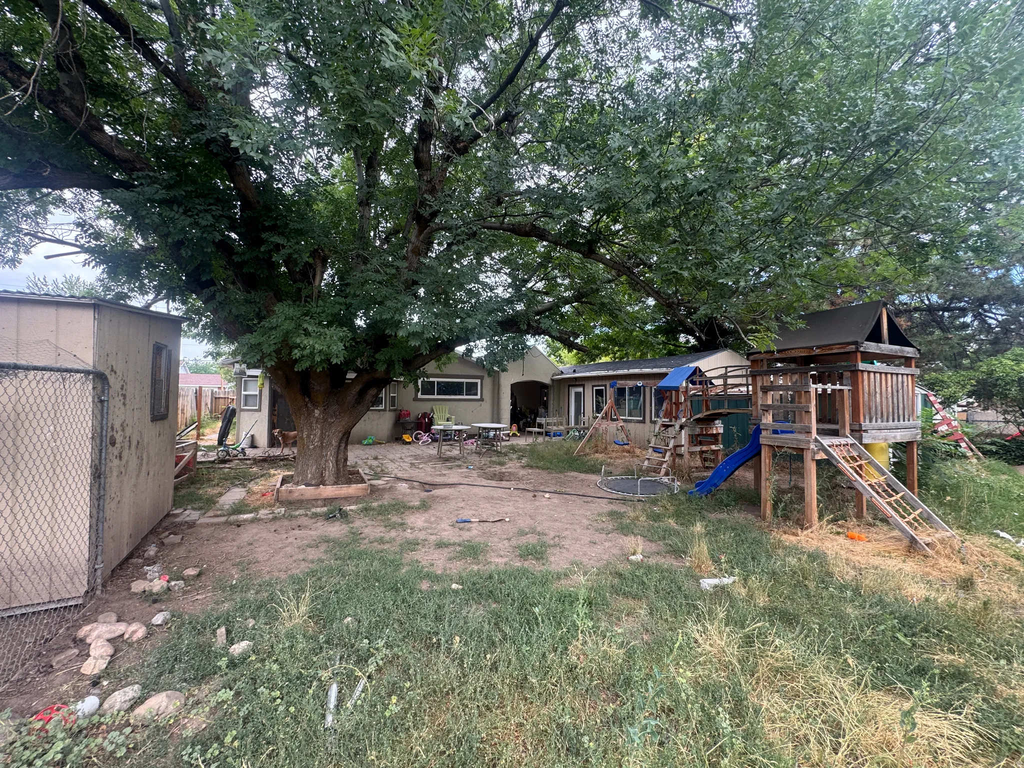 Spacious backyard featuring a large mature tree, a wooden storage shed, and a privacy fence
