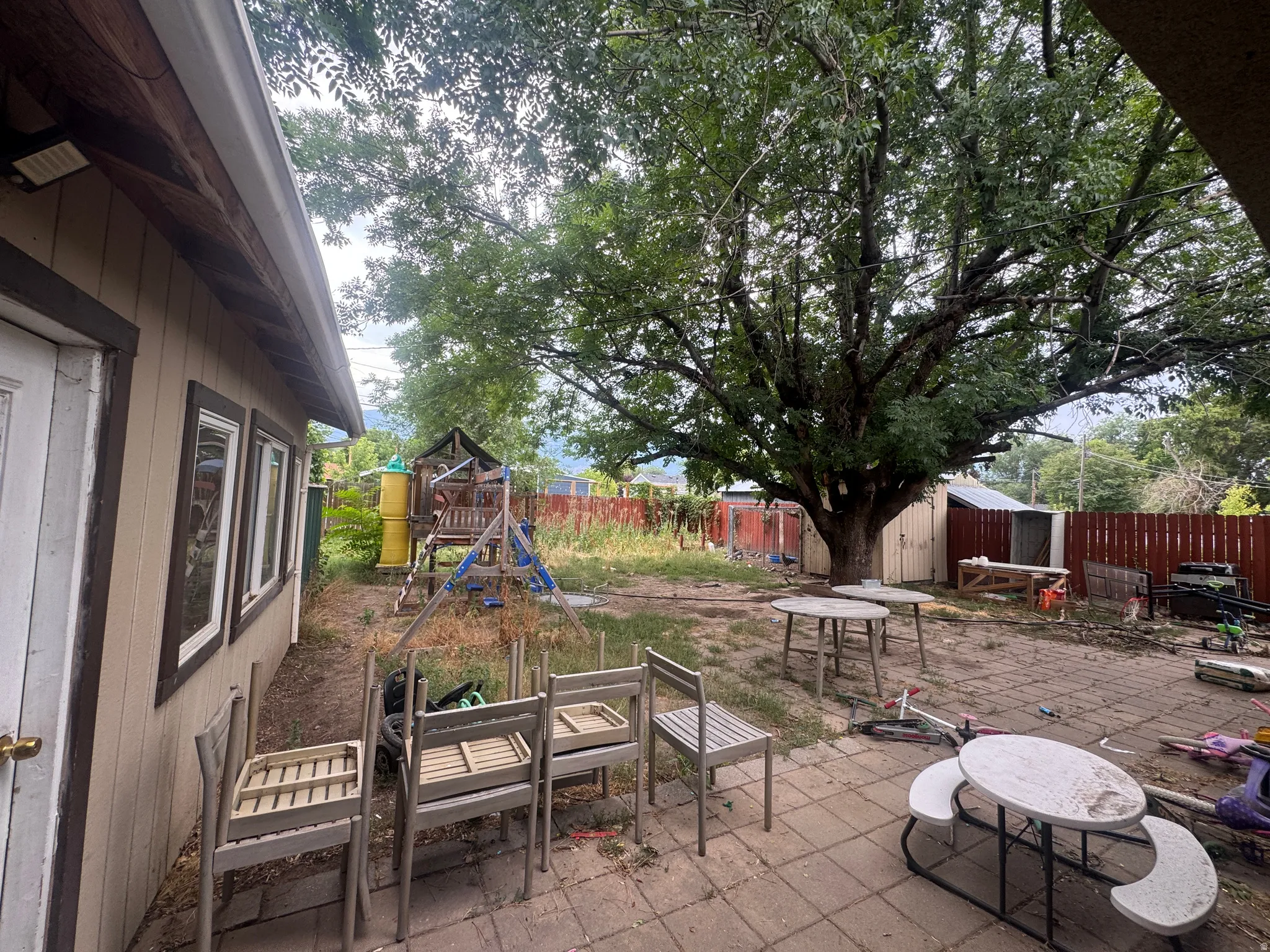 Expansive backyard featuring a large mature tree, a paved patio area, and a storage shed