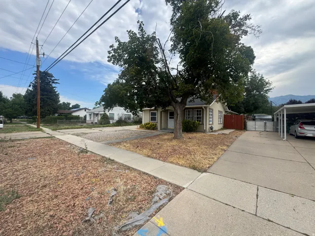 Single-story residence featuring a mature shade tree, a concrete driveway, and a carport