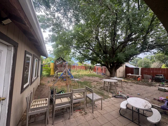 Expansive backyard featuring a large mature tree, a paved patio area, and a storage shed