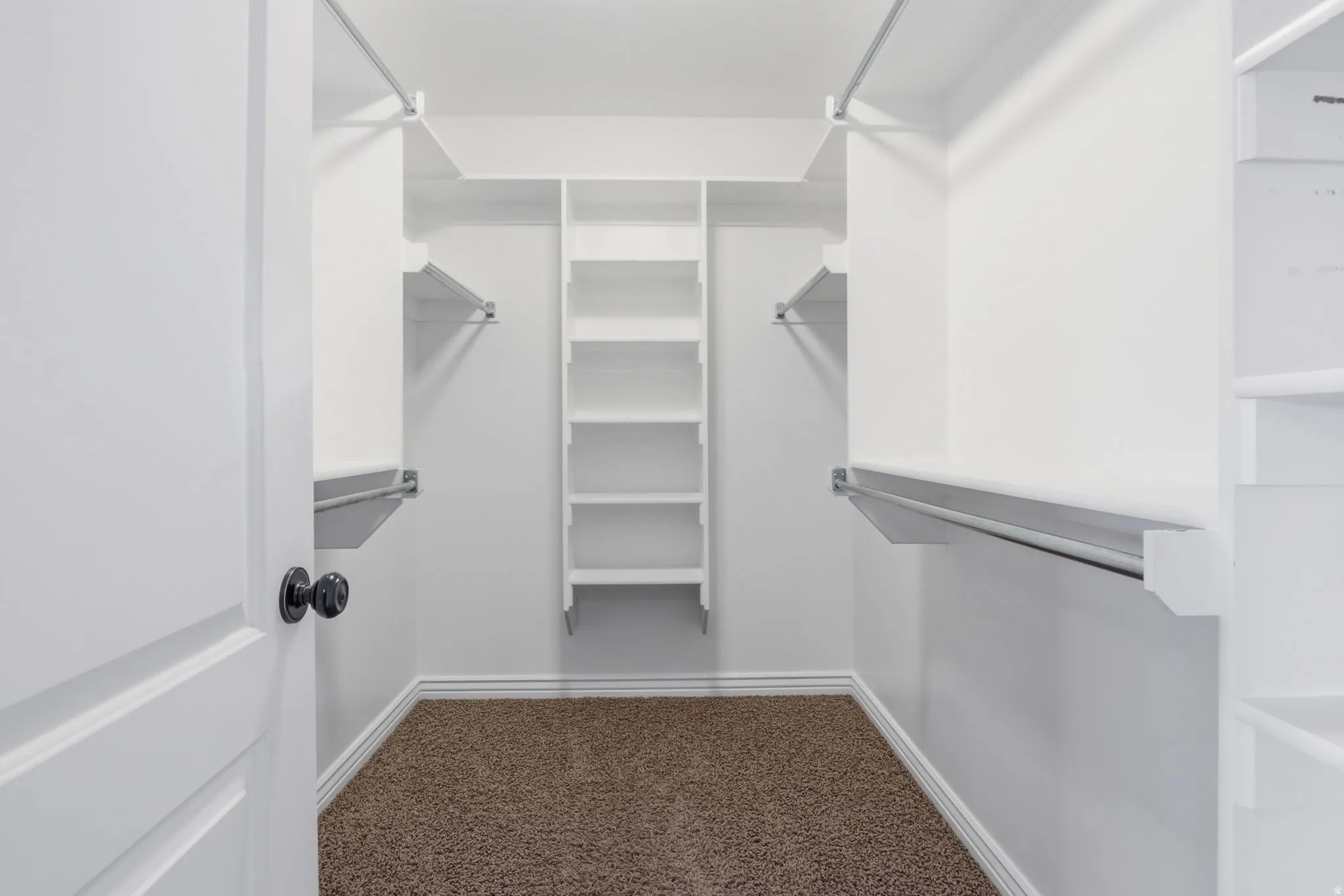 Walk-in closet featuring built-in shelving, chrome hanging rods, white trim, and neutral carpet flooring