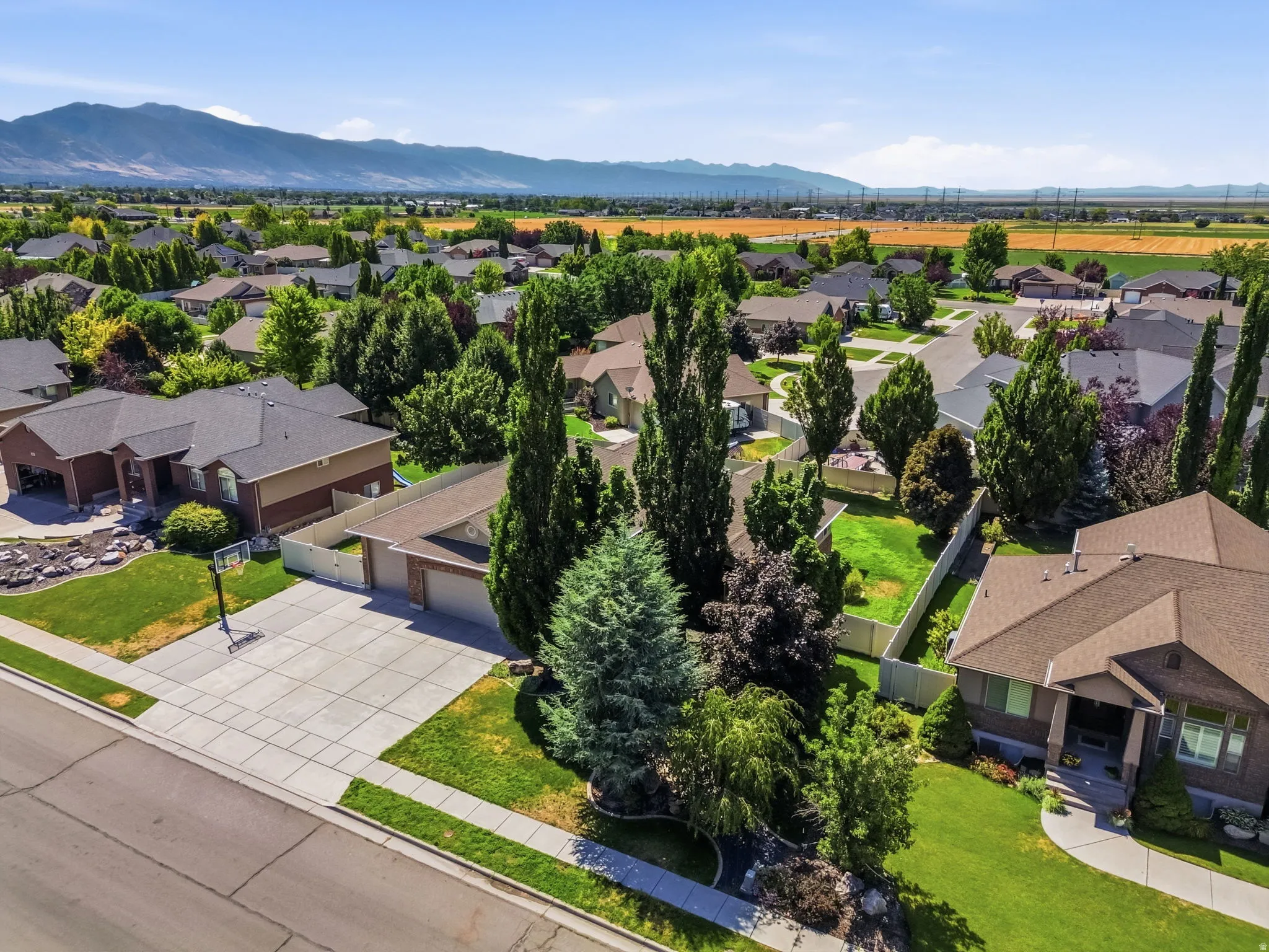 Residential property featuring a concrete driveway, mature landscaping, and an attached garage