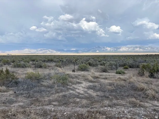Expansive desert landscape featuring natural brush and distant snow-capped mountains under a cloudy sky