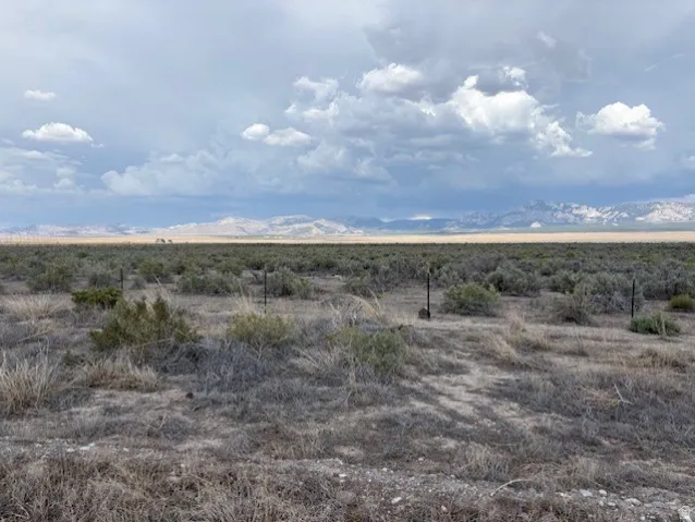 Expansive land featuring natural vegetation, a distant mountain range, and a clear horizon