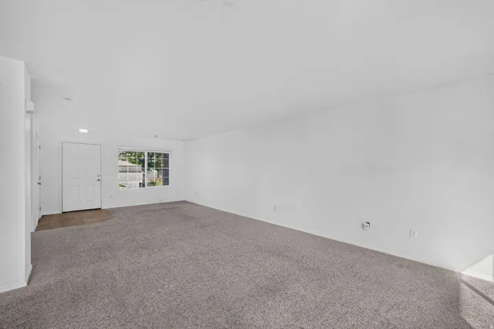 Entry area featuring a white paneled door, an overhead light, and neutral-toned carpeting