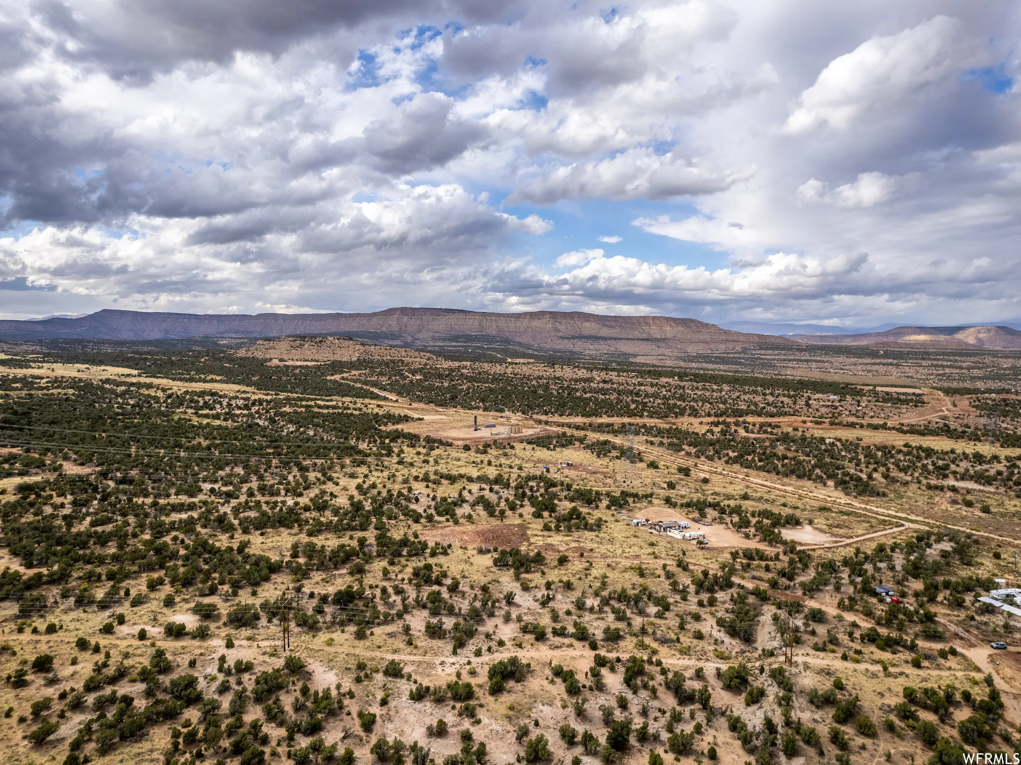 Expansive desert landscape featuring scattered green foliage and distant mountain formations