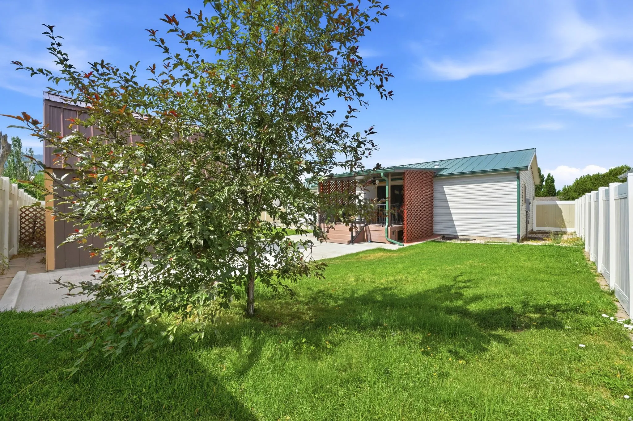 Expansive green lawn with a mature tree