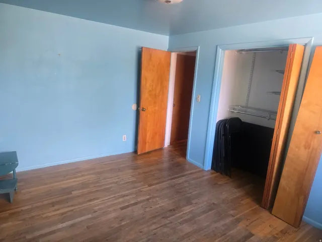 Room featuring wood-finish flooring, light blue walls, and a recessed closet with wire shelving