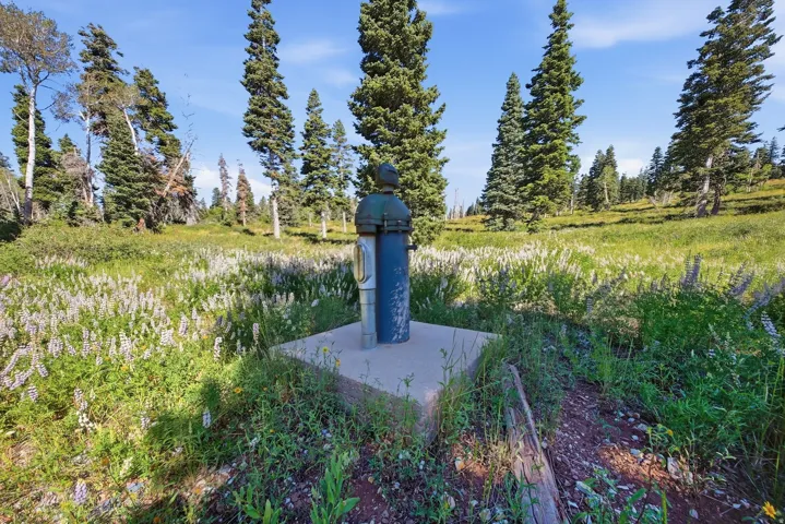 1063 W Kolob Ranch Dr, Springdale, Utah 84767