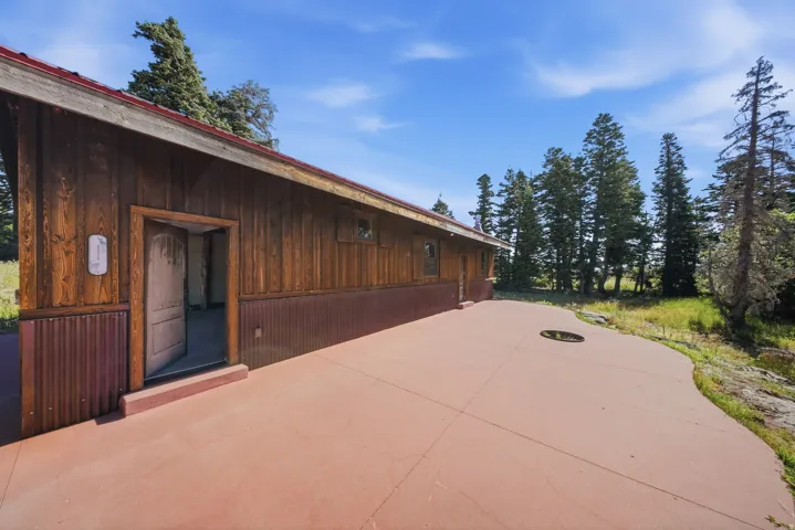 Expansive concrete patio area with a unique curved edge, complementing the vertical wood siding and corrugated metal wainscoting