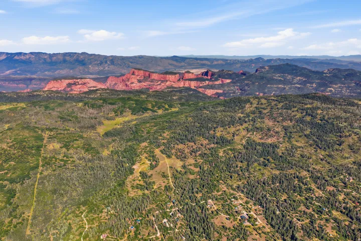Expansive landscape showcasing a vast expanse of green foliage and distant red rock formations under a clear blue sky
