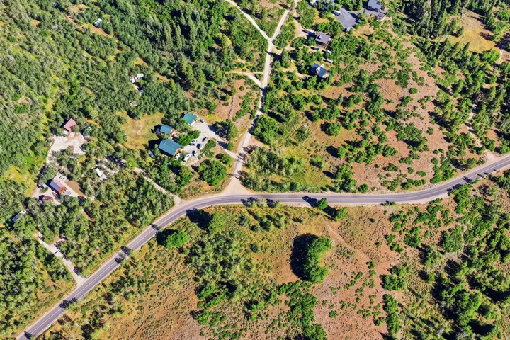 Winding paved road traversing a mountainous landscape with varied tree coverage