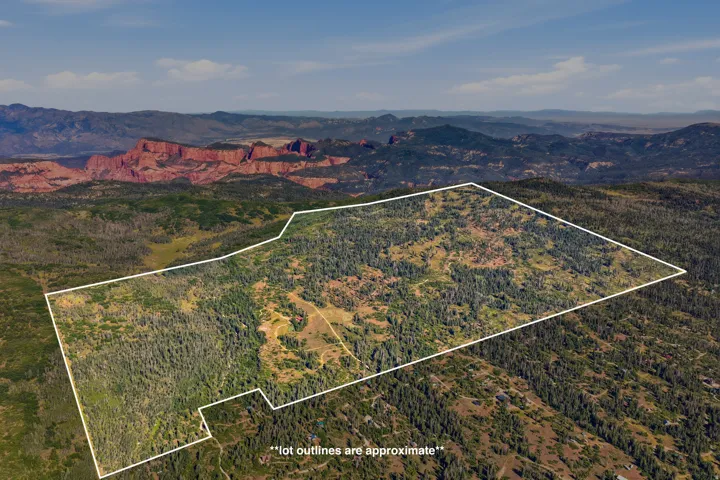Expansive land parcel featuring dense evergreen tree coverage and varied topography