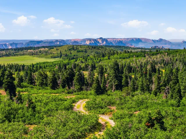 Expansive natural landscape featuring dense evergreen forests and a winding dirt path