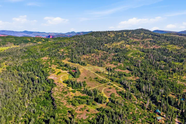Expansive land offering diverse natural terrain, including dense evergreen forests and open clearings