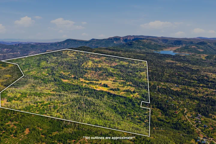 Expansive mountain property featuring varied topography, dense evergreen forests, and open clearings