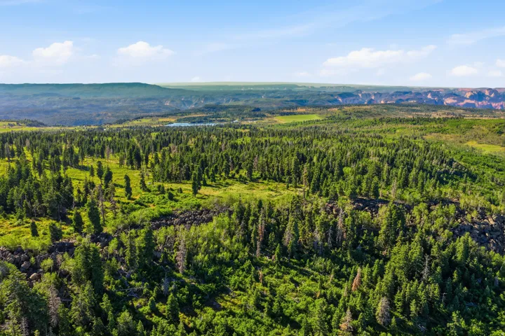 1063 W Kolob Ranch Dr, Springdale, Utah 84767