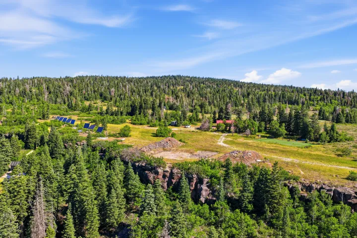 Expansive property featuring a dense forest backdrop and a prominent cliffside