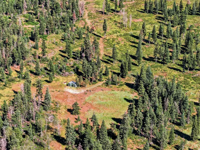 Extensive natural landscape featuring dense evergreen tree coverage