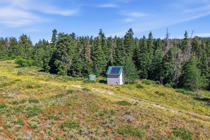 Remote structure featuring a green roof with solar panels, bordered by dense evergreen trees
