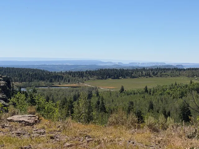 Expansive landscape featuring diverse tree lines, a tranquil water body, and distant mountain ranges under a clear sky