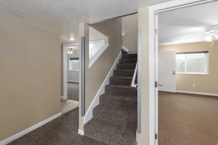Carpeted staircase featuring white risers and a painted handrail, framed by neutral tone walls