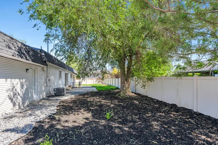 Expansive landscaped area featuring a mature shade tree, dark ground cover, and a white privacy fence