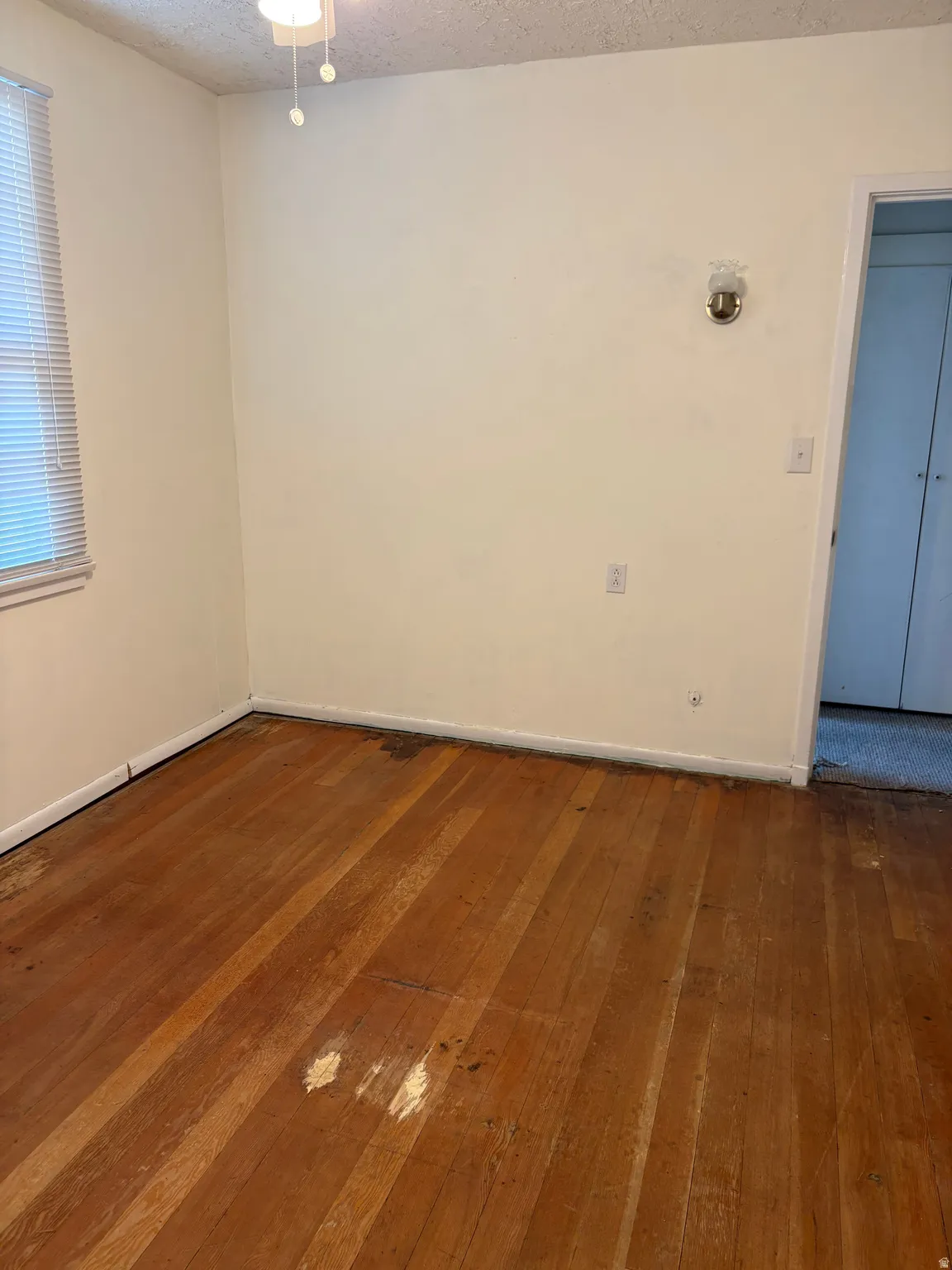 Spacious room featuring warm wood-finish flooring, neutral painted walls, and natural light from large window