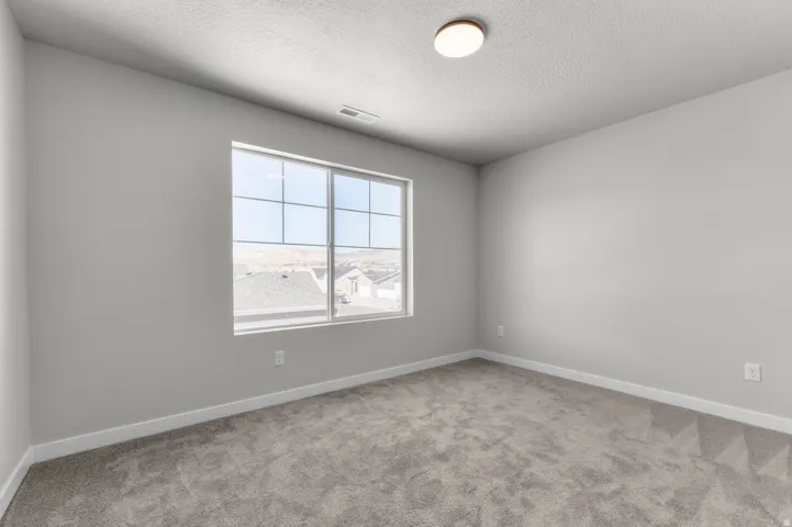 Wall-to-wall carpeting, neutral wall finishes, large window, and ceiling-mounted light fixture