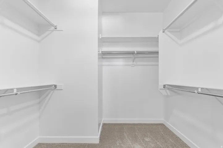 Walk-in closet featuring carpeted flooring and multiple storage rods