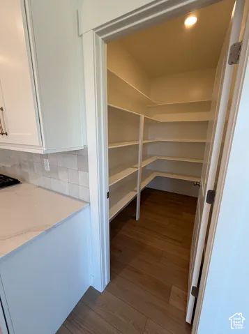 Walk-in pantry featuring extensive built-in shelving, wood-finish flooring, and recessed lighting
