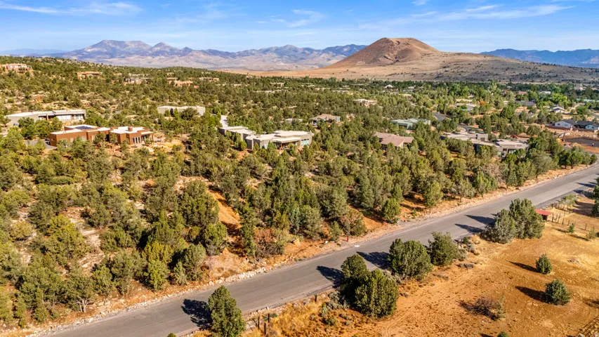 Expansive desert landscape with a paved road, mature evergreen trees, and distant mountains