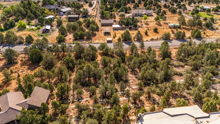 Expansive land parcel featuring dense tree coverage and surrounding residential properties