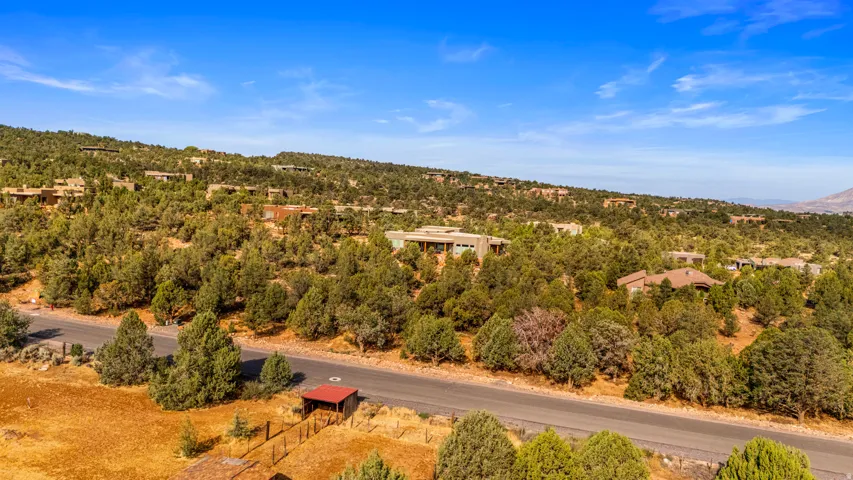 Hilly landscape with abundant evergreen trees