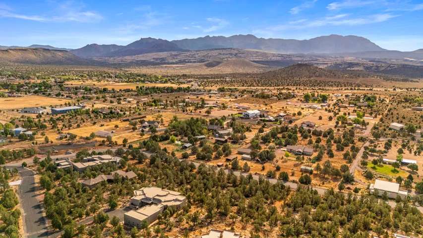 Expansive residential area featuring a diverse collection of homes, abundant mature trees, and natural desert landscaping under a clear sky