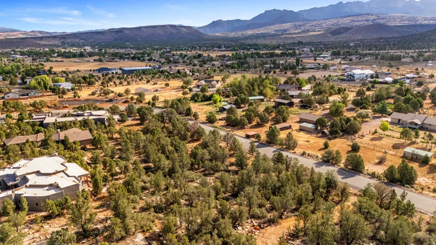 Expansive aerial perspective showcasing a residential area with varied architectural styles, abundant mature trees, and a clear sky backdrop