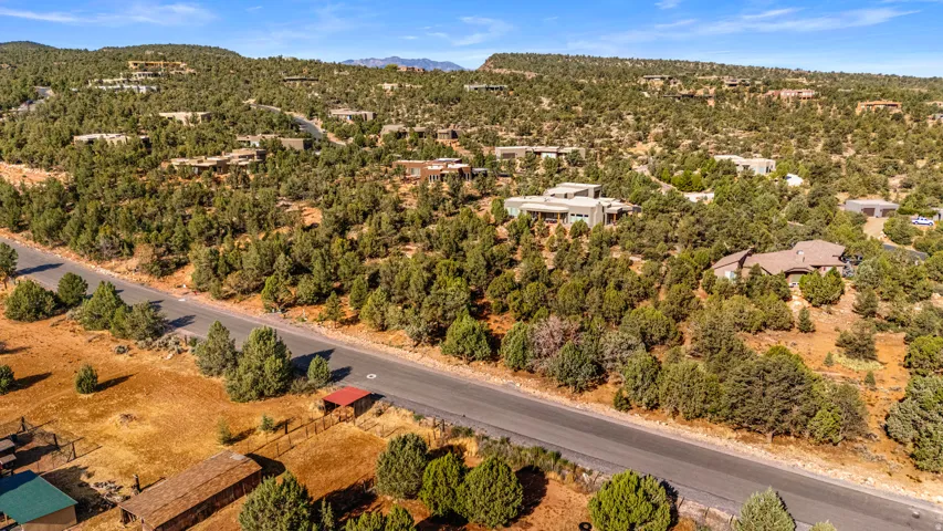 Expansive wooded terrain featuring diverse foliage and a clear asphalt road