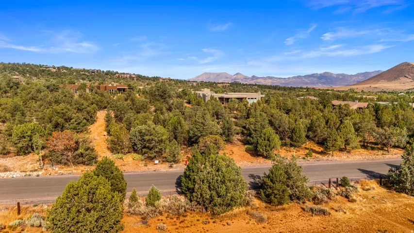 Expansive natural landscape featuring lush green trees, an asphalt road, and distant mountain ranges under a clear blue sky