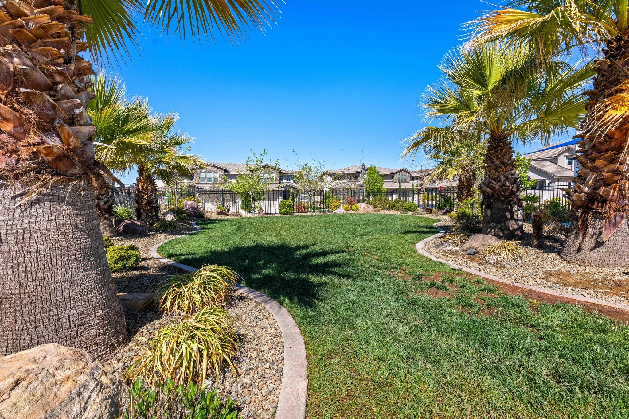 Expansive green lawn with contoured landscaping beds featuring mature palm trees and decorative rock