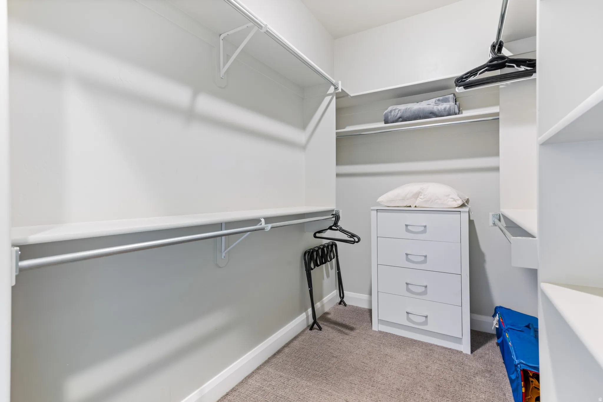 Walk-in closet featuring carpeted flooring, white walls, and built-in shelving