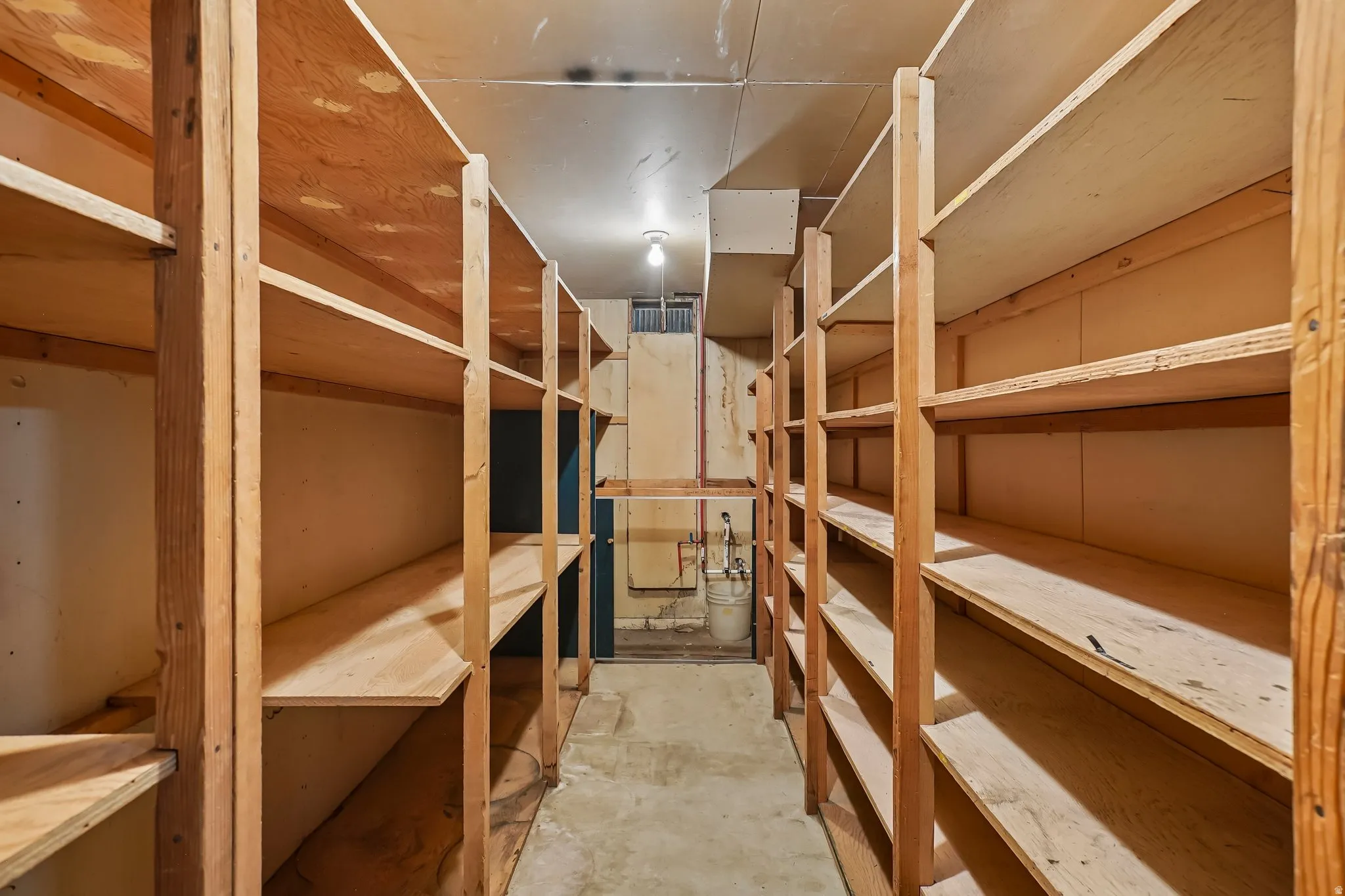 Dedicated storage area featuring extensive wood shelving units