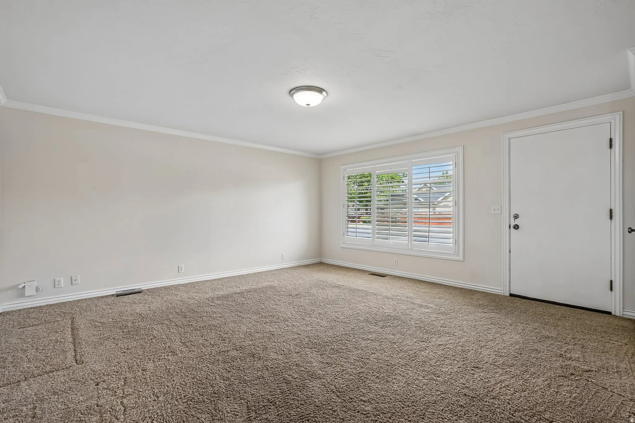 Spacious room featuring neutral paint, crown molding, and plush brown carpeting