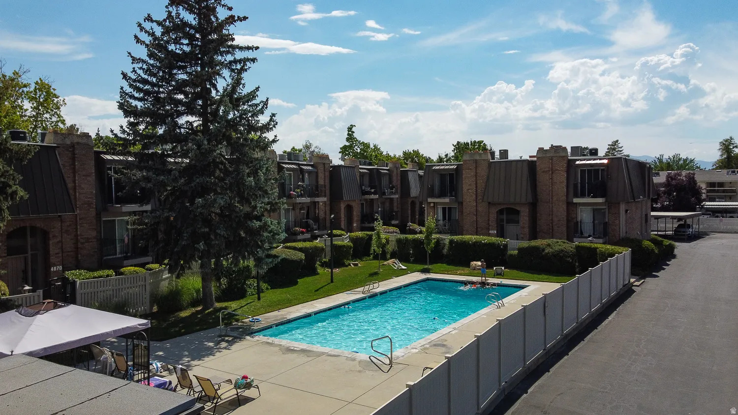 Outdoor swimming pool with concrete surround, framed by green lawn and mature trees