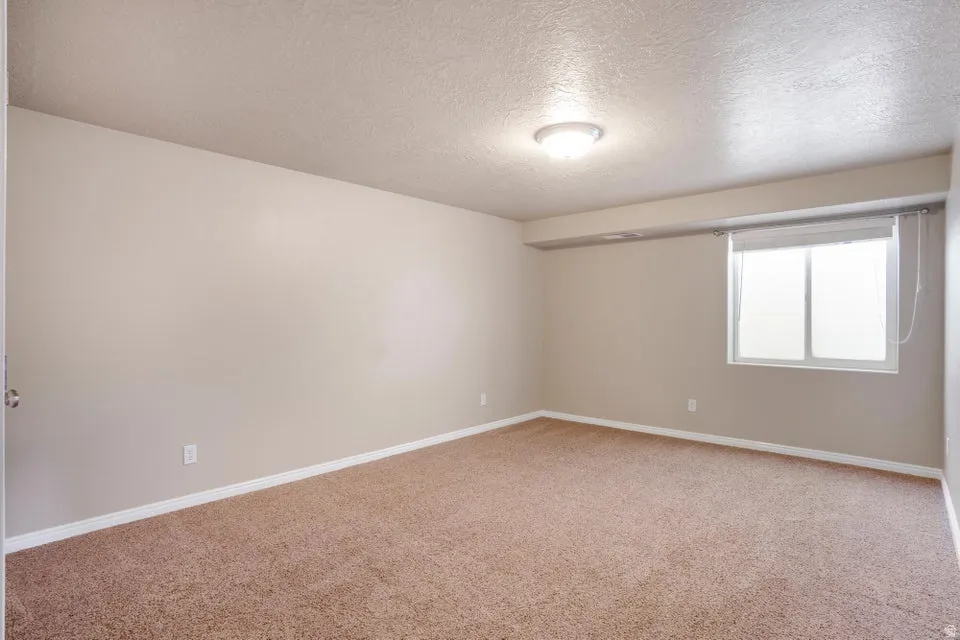 Neutral-toned room featuring a single window with blinds, brown carpet flooring, and a flush-mount ceiling light fixture